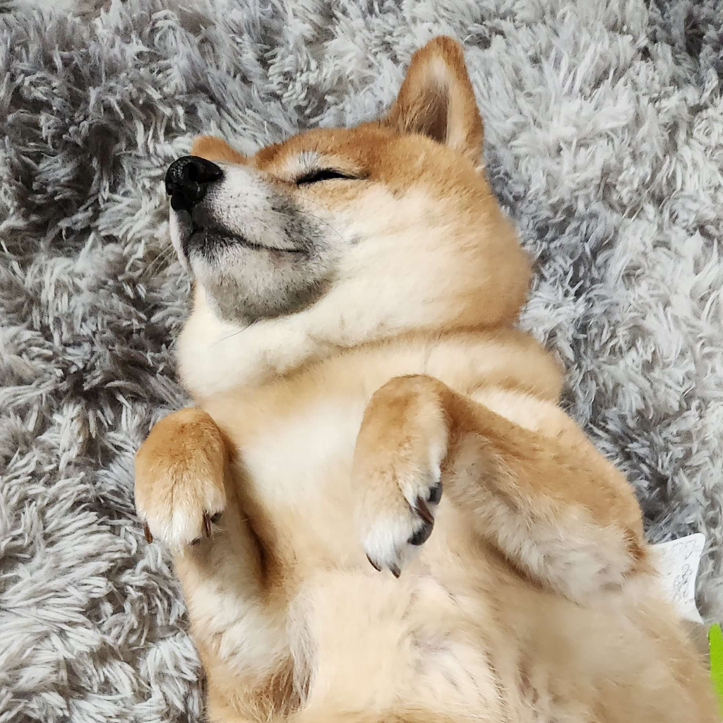 Py9